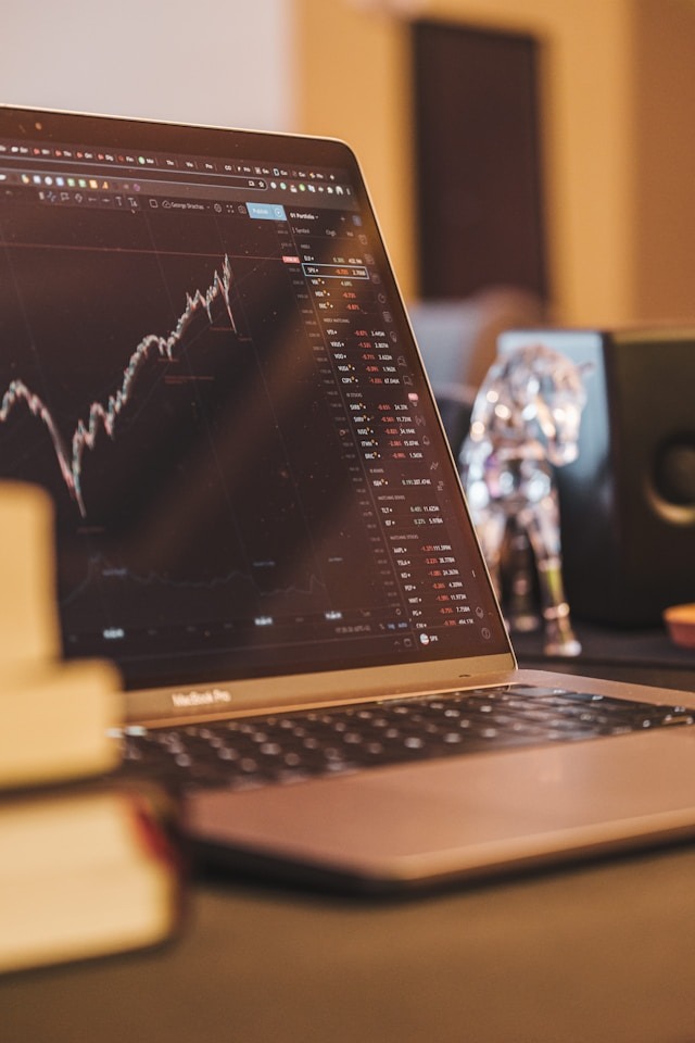 Compound Interest - An individual checking their compound interest in the stock market