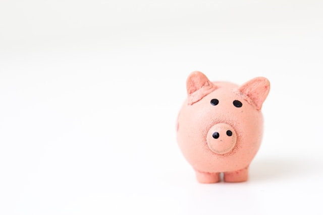 financial freedom -your-average-investor (2)